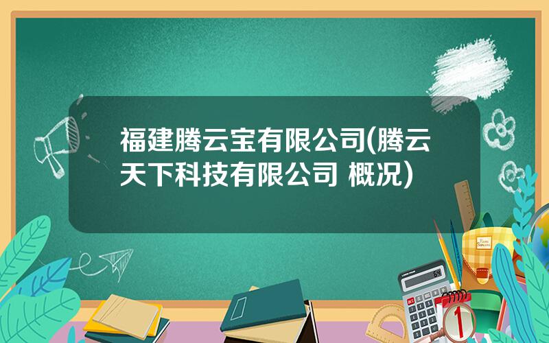 福建腾云宝有限公司(腾云天下科技有限公司 概况)